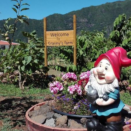 Гостевой дом Granny'S Farm Сан-Висенти Экстерьер фото
