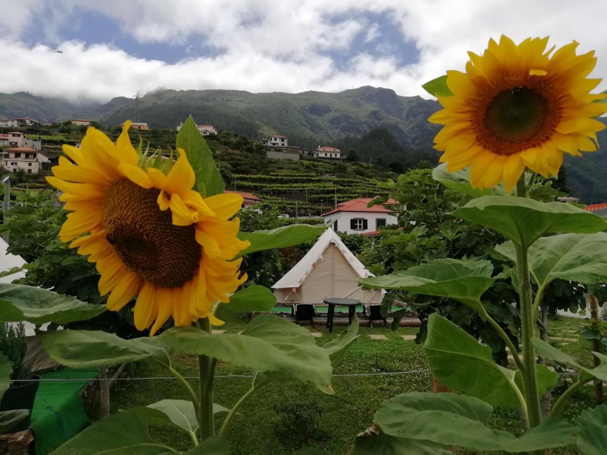 Гостевой дом Granny'S Farm Сан-Висенти Экстерьер фото