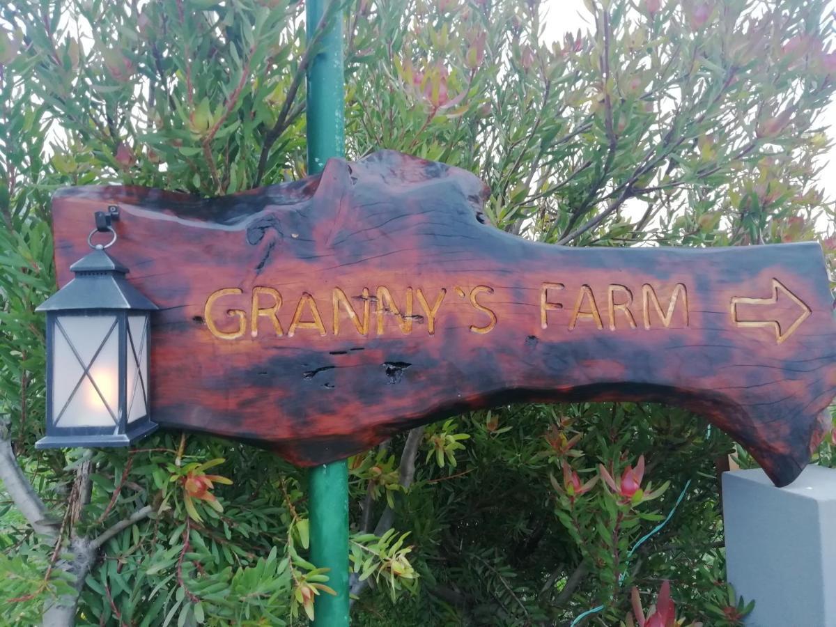 Гостевой дом Granny'S Farm Сан-Висенти Экстерьер фото