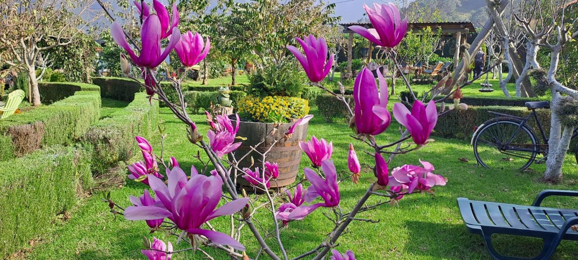 Гостевой дом Granny'S Farm Сан-Висенти Экстерьер фото