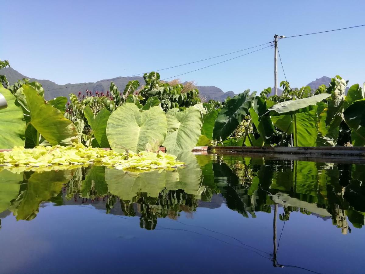 Гостевой дом Granny'S Farm Сан-Висенти Экстерьер фото