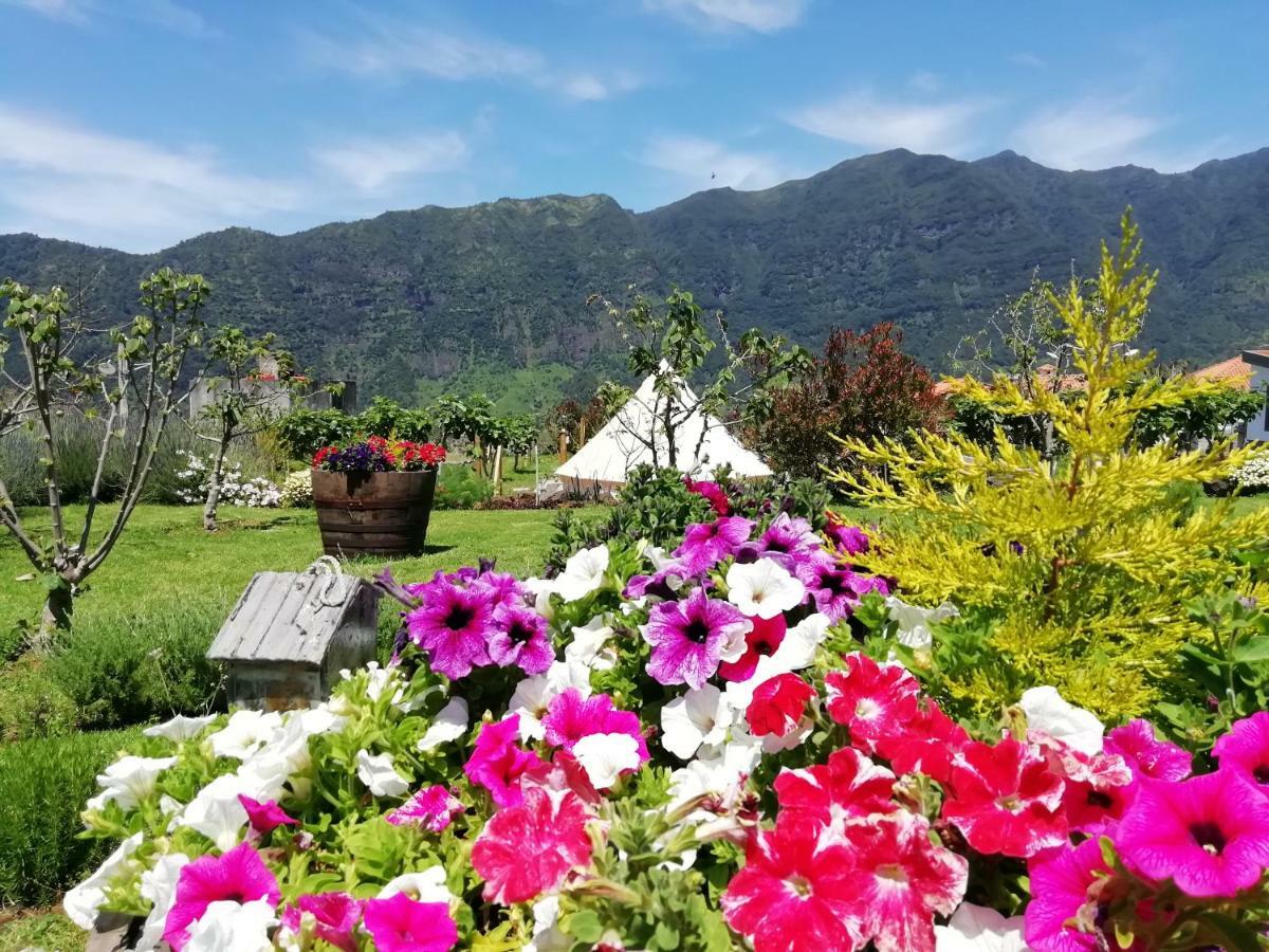 Гостевой дом Granny'S Farm Сан-Висенти Экстерьер фото